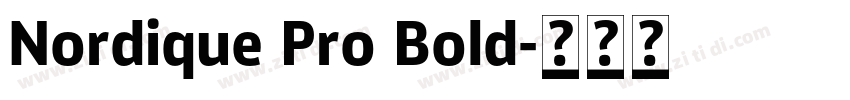 Nordique Pro Bold字体转换